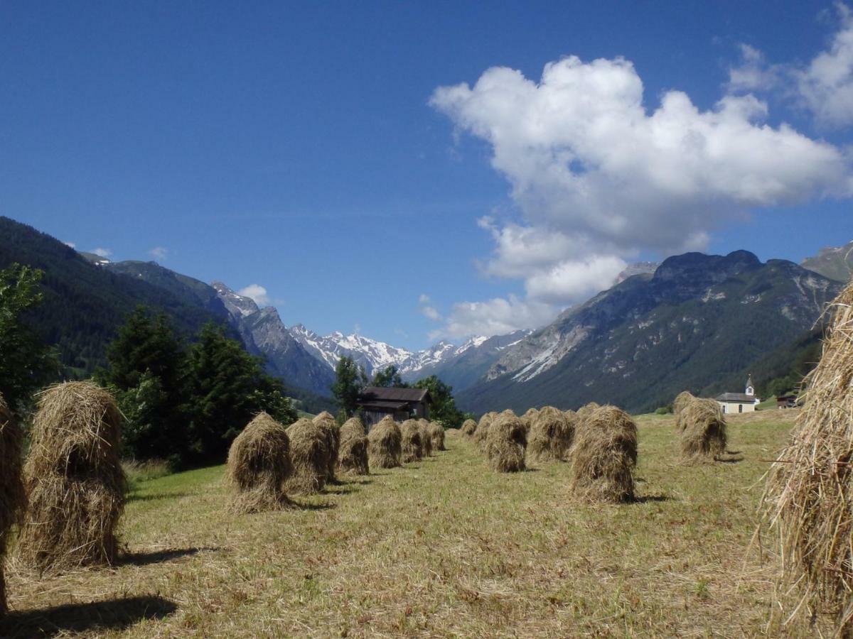 Appartamento Haus Alpenrose Trins Esterno foto