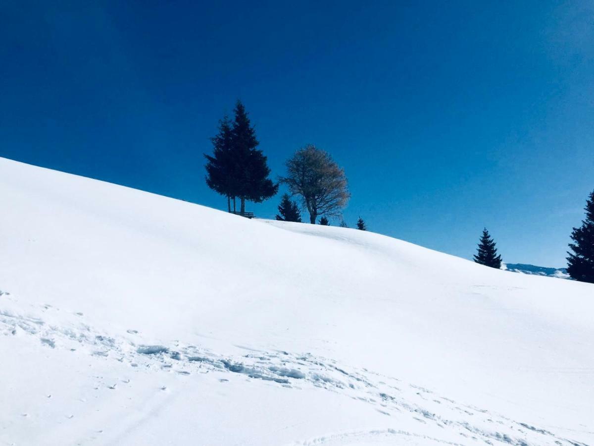 Appartamento Haus Alpenrose Trins Esterno foto