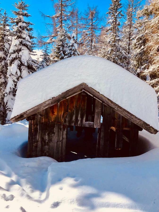 Appartamento Haus Alpenrose Trins Esterno foto